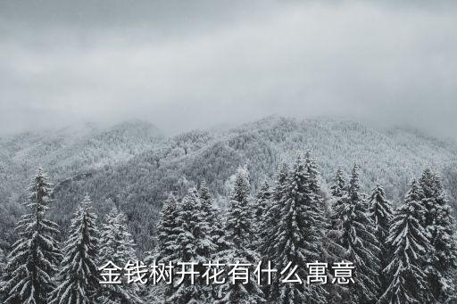 金钱树开花有什么寓意
