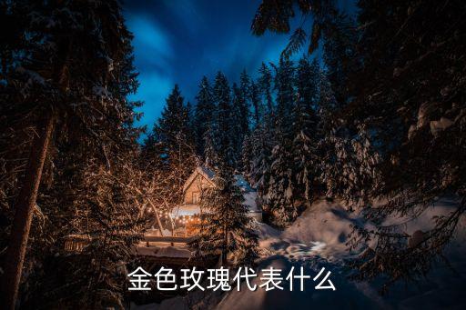 金色玫瑰代表什么