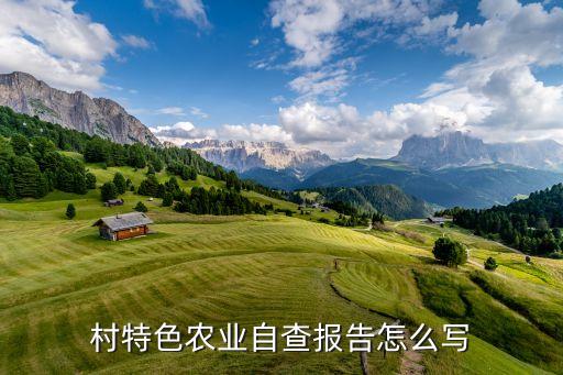 村特色农业自查报告怎么写