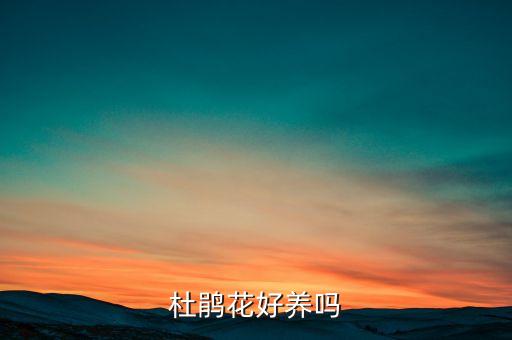 杜鹃花好养活吗，杜鹃花好养吗
