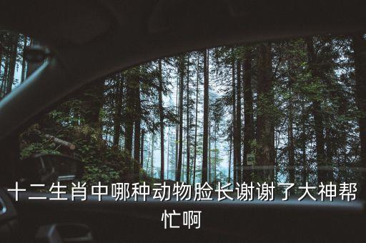 脸大的动物，十二生肖中哪种动物脸长谢谢了大神帮忙啊