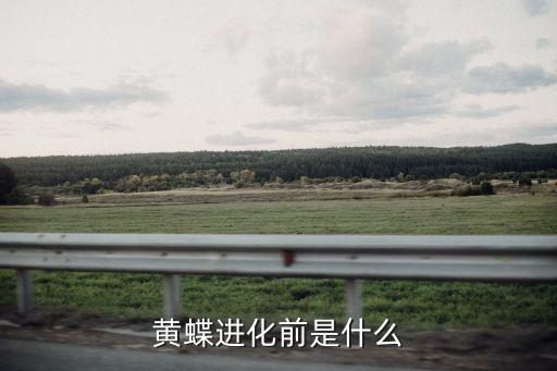 黄蝶进化前是什么