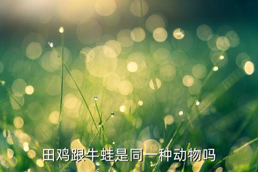 田鸡跟牛蛙是同一种动物吗