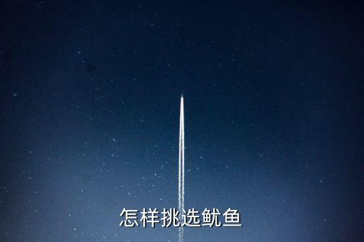 大鱿鱼图片，文甲鱿鱼又叫什么