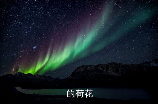 怎样的荷花， 的荷花
