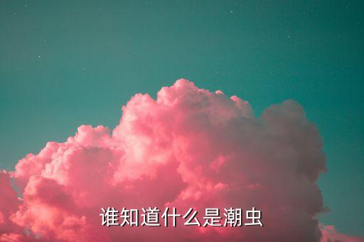 潮虫子，如何杀灭潮虫子