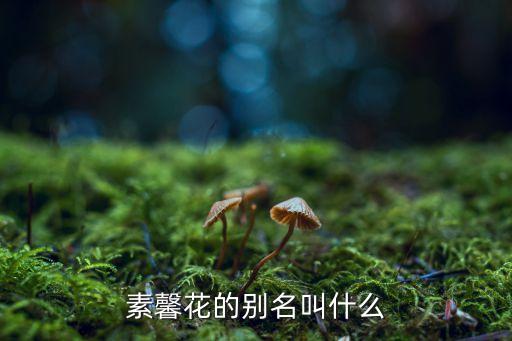 素馨花，大家帮看看是什么品种 素馨花