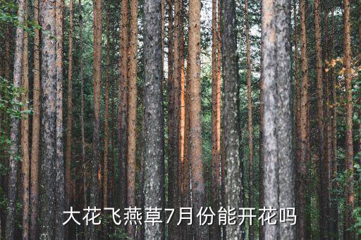 大飞燕鲜花，大花飞燕草可以吃不