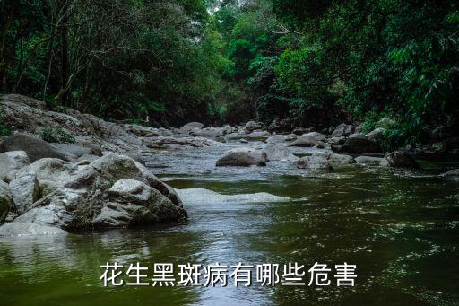 花生黑斑病有哪些危害