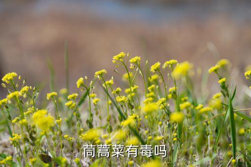 茼蒿菜有毒吗