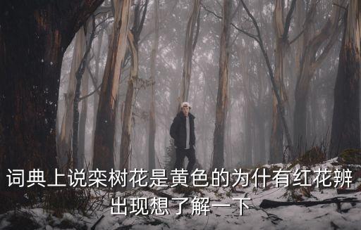 词典上说栾树花是黄色的为什有红花辨出现想了解一下