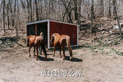 草娃娃怎么养