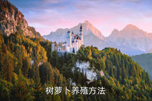 树萝卜养殖方法
