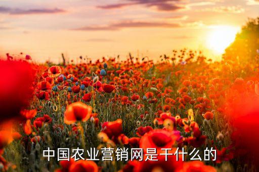 农业服务平台怎么抢单，农业服务中心敲的章是公章吗