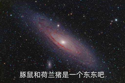 荷兰猪是豚鼠吗，荷兰猪是鼠类吗