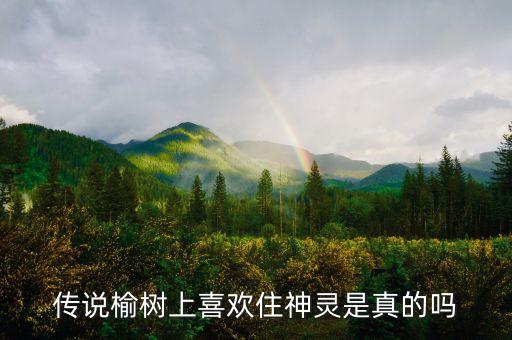 榆树为什么是鬼树，长榆树暗示什么
