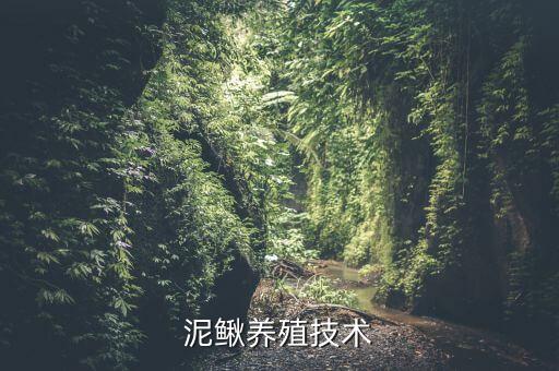 泥鳅池塘养殖，天然池塘如何养泥鳅鱼