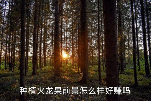 农业水果生意怎么样，水果利润咋样