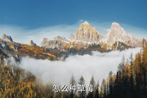 怎么种草莓