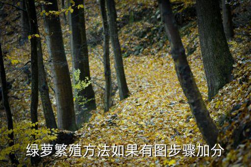 绿萝繁殖方法如果有图步骤加分