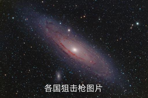 火棘图片，未闻花名的图片