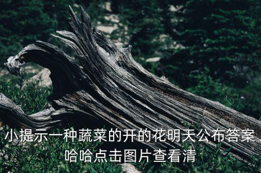 黄瓜花图片，单性花大全