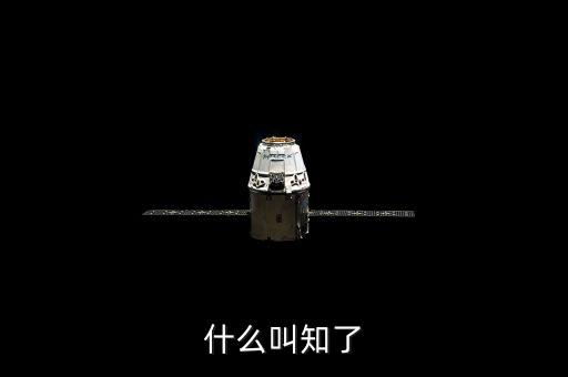 什么叫知了