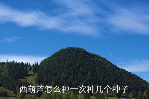 佛手瓜怎么种，怎么样种植佛手呢