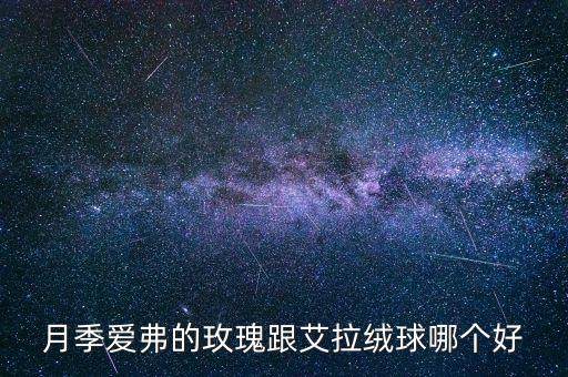 月季爱弗的玫瑰跟艾拉绒球哪个好