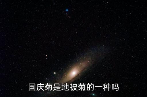 国庆菊是地被菊的一种吗