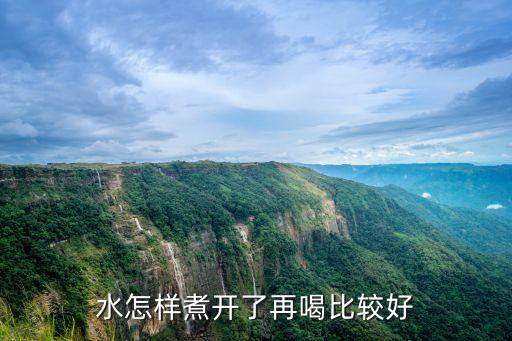 煮水，水怎样煮开了再喝比较好