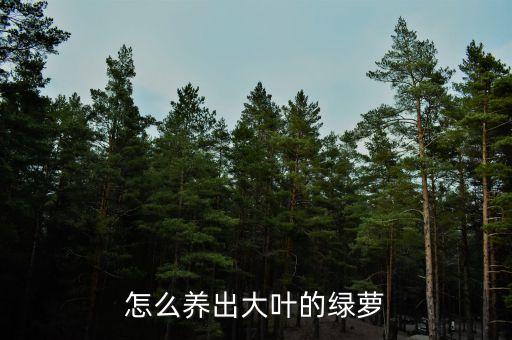 大叶绿萝，大叶绿萝怎么养