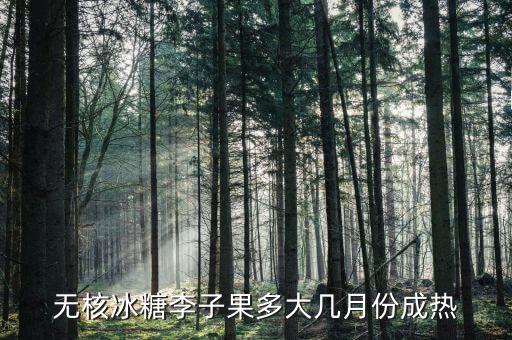 蜂糖李几月份成熟，李子什么时候成熟李子是什么季节的李子成熟的季节