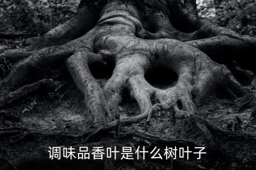 香叶是什么树的叶子，做菜中的香叶是什么树的叶子