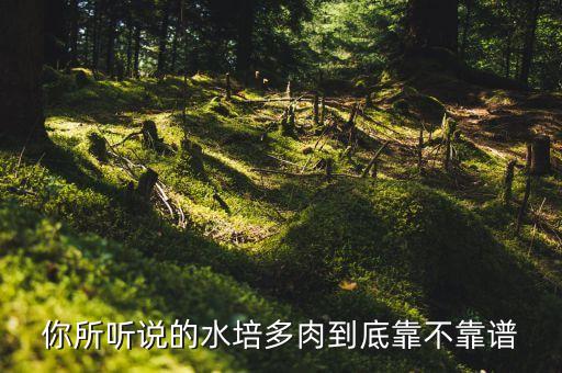 你所听说的水培多肉到底靠不靠谱