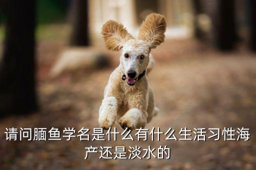 花鲈，请问腼鱼学名是什么有什么生活习性海产还是淡水的