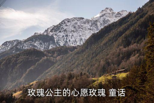 玫瑰故事，一百朵玫瑰的故事