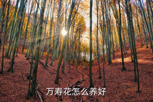 万寿花，万寿花怎么样才能养好