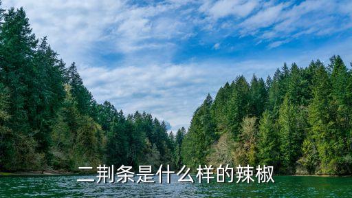 二荆条是什么样的辣椒