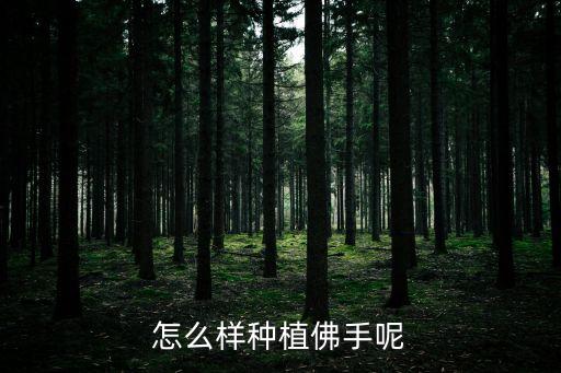 怎么样种植佛手呢