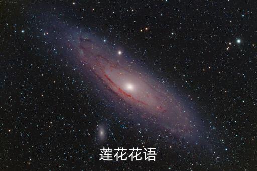 莲花花语，莲花花语