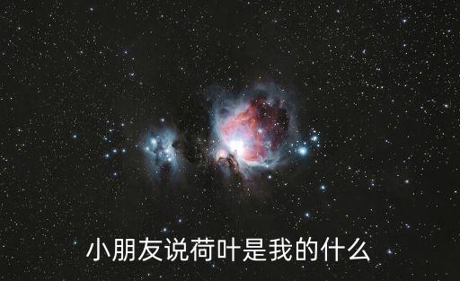 小朋友说荷叶是我的什么
