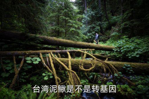 台湾泥鳅，台湾泥鳅在北方会过冬吗