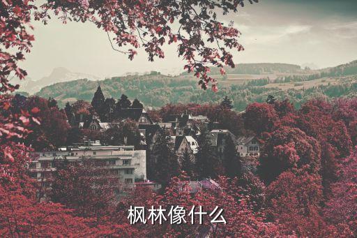 枫林像什么
