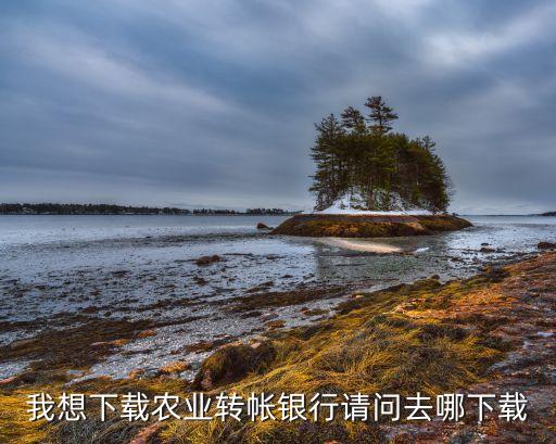 我想下载农业转帐银行请问去哪下载