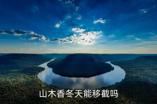 山木香，山木香北方可以种植吗