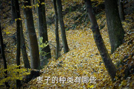 枣子的种类有哪些