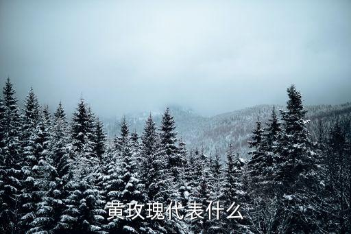 黄玫瑰，黄玫瑰代表什吗