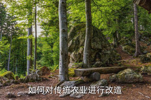 传统农业怎么变绿色农业，如何实现由传统农业向现代农业的转型