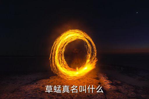 草蜢真名叫什么